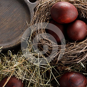 Still life many colorful easter eggs on a textural background. Rustic. Decoration from natural herbs. Easter celebration concept