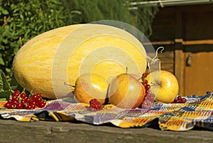 Still life with melon, apples, red currants and raspberries