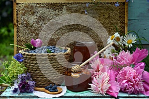 Still life with natural honey, honeycomb cut in pieces and honeysuckle berry with flowers on wooden background outside.