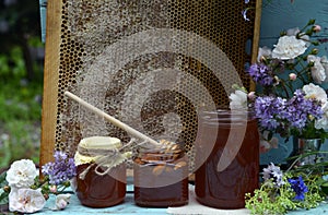 Still life with natural honey in jar, dipper, flowers and stick on wooden background outside. Countryside summer rural background