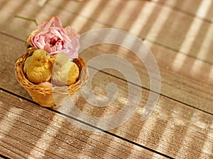 Still life: nice couple of birds in a nest and pink rose on a wooden table with beautyful shadows. Copy space for text