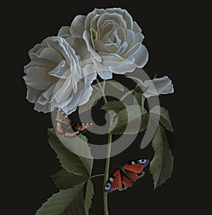 Still life oil painting with beautiful white roses