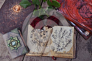 Still life with old book with botanical drawings, roses on wooden planks