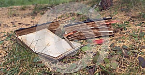 Still life with old books in the garden horizontal