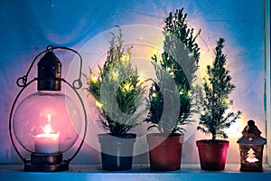 Still life with old lamp, lantern and decorated natural conifers with lights