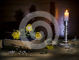 Still life old yellow roses lying on the book, a candlestick with a burning candle.