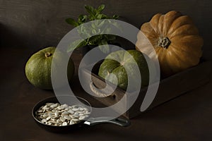 Still life with orange and green pumpkins and pumpkin seeds on rustic background.