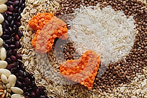 Cereal Swatch: Orange lentils in the shape of a heart and mushroom