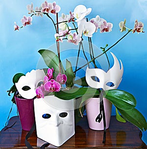 Still life - orchids and Venetian masks