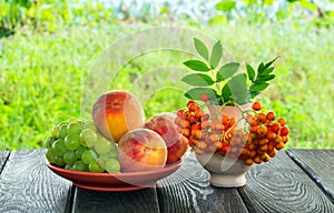 Still life of peach grapes and rowan berries on a wooden table after harvest