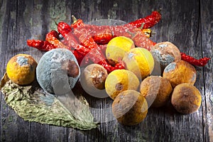 Still Life Photo of Moulded Decaying Fruits