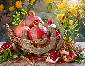 Basket with pomegranates photo