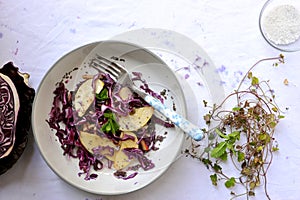 Still life photography with purple cabbage salad and apple 
