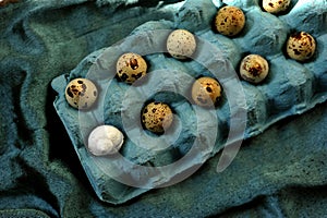 Still life photography with quail eggs and a snail on a blue background