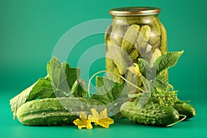 Still-life with pickles