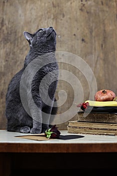 a still life with a pile of old books, fruit on a plate and a silver british cat