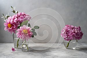 Still life pink flowers scene. Pink hydrangea flowers and dahlias in glass vase on neutral background soft, selective