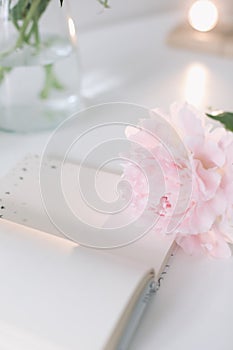 Still life with pink peony flowers and open  book. Summer concept.  fresh flowers at home, cozy interior