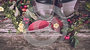 Still life of plants in autumn-oak, rose hips, grapes