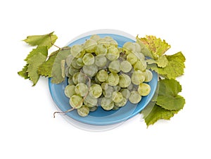Still life a plate with grapes on the isolated background