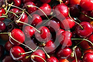 Still Life with a plate of ripe cherries closeup