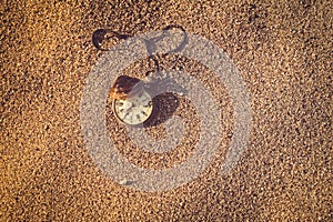 Still life - Pocket watch and sea shell