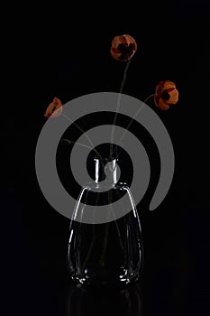 Still Life with poppies of glass on black