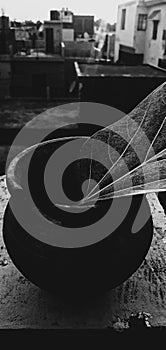 Still Life, Pot and Leaf