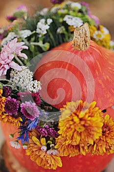 Still life with pumkins and lilac flowers