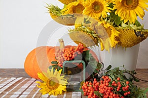 Still life with pumpkin, a bouquet of sunflowers and a white vase, candlesticks and red rowan, hello autumn concept