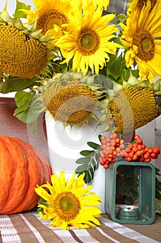 Still life with pumpkin, a bouquet of sunflowers and a white vase, candlesticks and red rowan, hello autumn concept