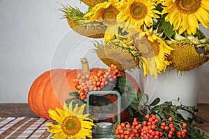 Still life with pumpkin, a bouquet of sunflowers and a white vase, candlesticks and red rowan, hello autumn concept