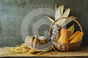 Still Life With pumpkin and corn