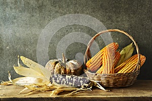 Still Life With pumpkin and corn