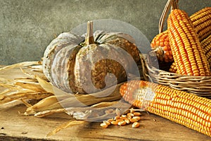 Still Life With pumpkin and corn