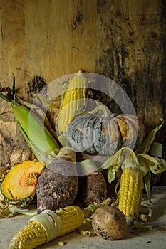 Still life with pumpkin, corn, taro, yam.