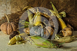 Still life with pumpkin, corn, taro, yam.