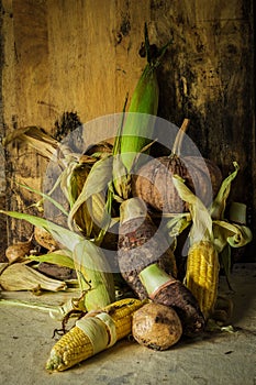 Still life with pumpkin, corn, taro, yam.