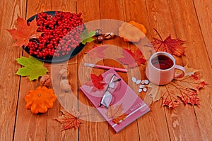 Still life with pumpkin - Pattinson. A notebook with a fountain pen.Red viburnum berry,