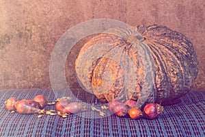 Still Life - Pumpkin, shallots And Pumpkin Seeds