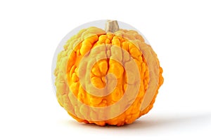 Still life of a Pumpkin on white background