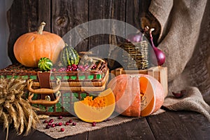 still life of pumpkins