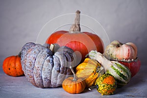 Still life with pumpkins