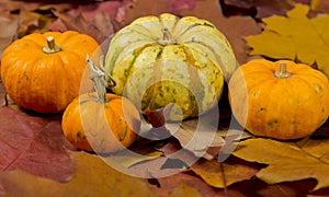 Still life of pumpkins