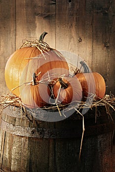 Still life with pumpkins on barrel