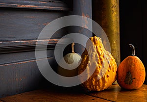 Still life with pumpkins. Small pumpkins on the window. Thanksgiving day background. Autumn harvest. Halloween gourd decoration.