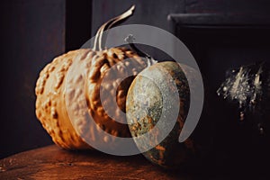 Still life with pumpkins. Small pumpkins on the window. Thanksgiving day background. Autumn harvest. Halloween gourd decoration.