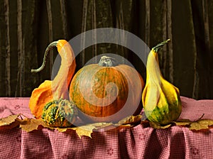 Still life pumpkins on table on autumn leaves