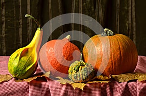 Still life pumpkins on table on autumn leaves