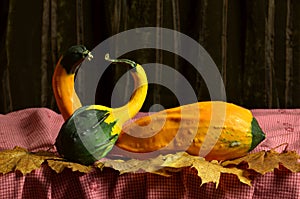 Still life pumpkins on table on autumn leaves